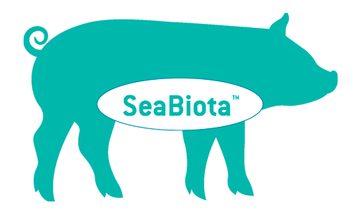 seabiota-olmix-animal-care-piglets_0